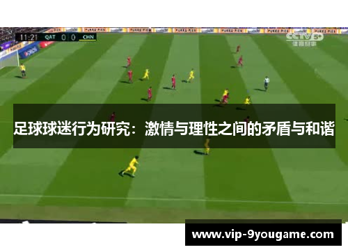 足球球迷行为研究：激情与理性之间的矛盾与和谐