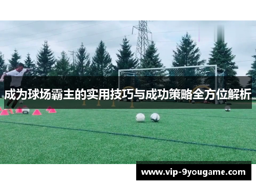 成为球场霸主的实用技巧与成功策略全方位解析