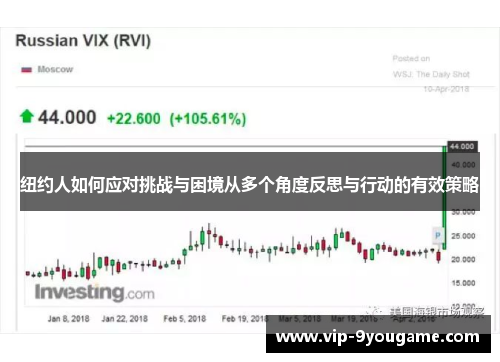 纽约人如何应对挑战与困境从多个角度反思与行动的有效策略