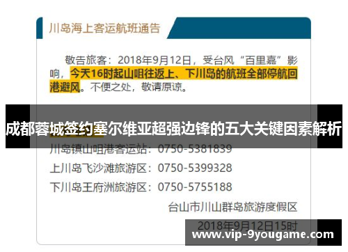成都蓉城签约塞尔维亚超强边锋的五大关键因素解析