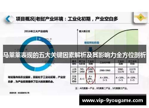 马莱莱表现的五大关键因素解析及其影响力全方位剖析
